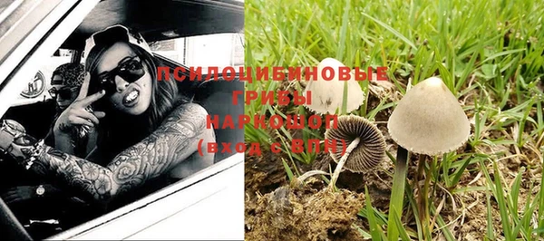 дурь Карпинск