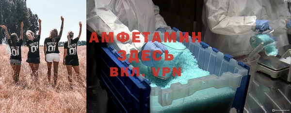 дурь Карпинск
